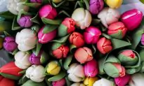 7 Healthy Mother’s Day Gift Ideas