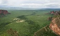 Jurisdictional Certification Approach Aims to Strengthen Protections Against Deforestation