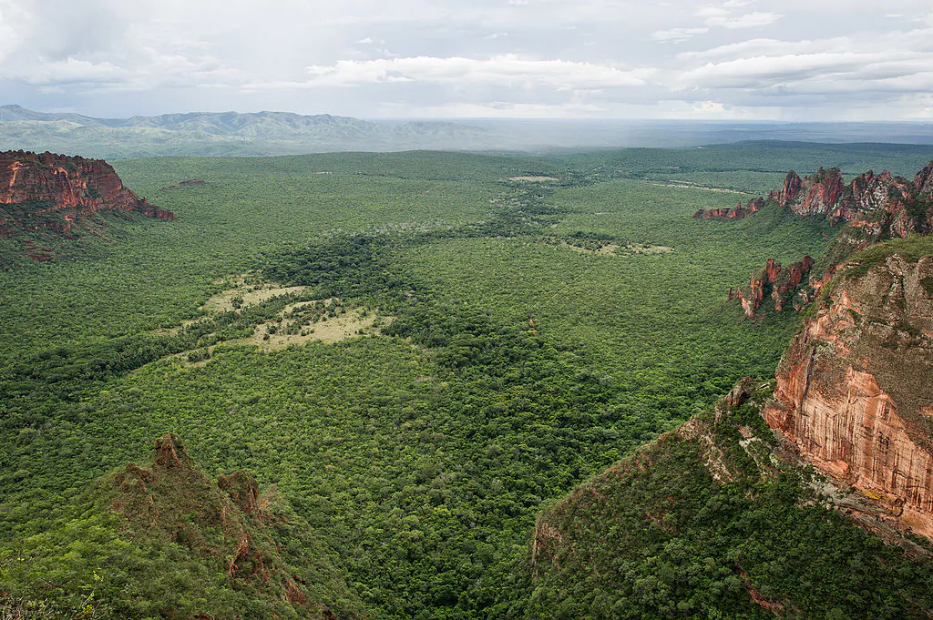 A file photo the Pantanal area in Chapada dos Guimaraes national park, Mato Grosso state, western Brazil.The Pantanal area, a sanctuary of biodiversity, has been at risk of commodity related deforestation. (Yasuyoshi Chiba/AFP/GettyImages)