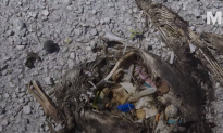 A 17-Year-Old Might Have Figured Out a Solution to the Ocean Trash Problem (Video)