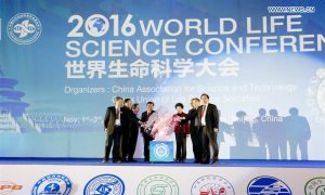 A Writer Reflects on China's Biggest Academic Scandal