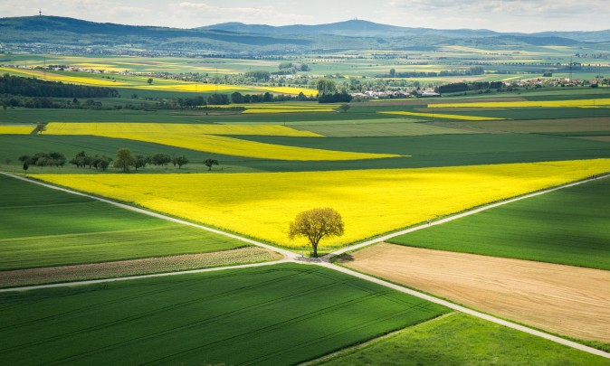 Sun shines on a rapeseed field in Münzenberg, Germany, on May 21, 2017. (FRANK RUMPENHORST/AFP/Getty Images)