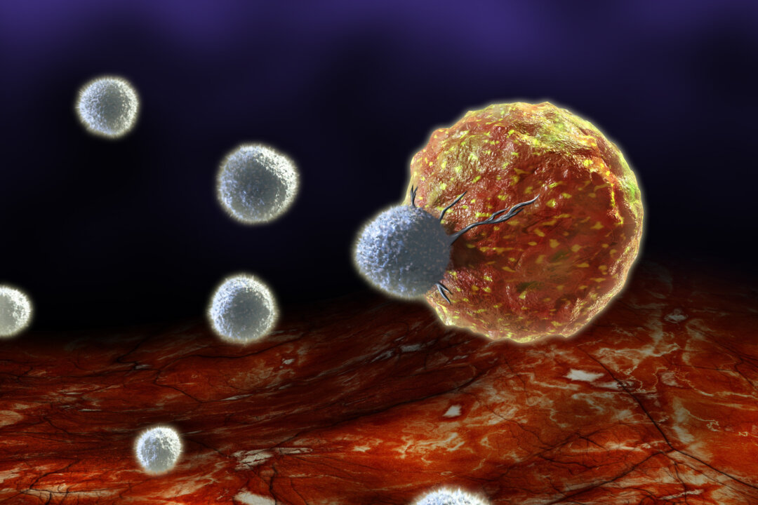 A digital illustration of T-cells attacking a cancer cell. (Andrea Danti/Shutterstock)