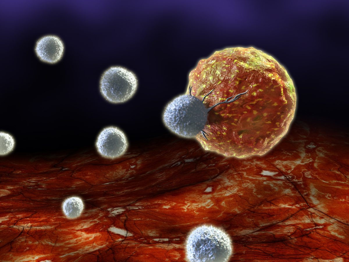 A digital illustration of T-cells attacking a cancer cell. (Andrea Danti/Shutterstock)