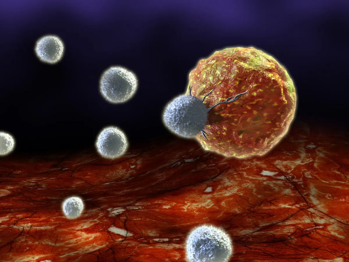 A digital illustration of T cells attacking a cancer cell. (Andrea Danti/Shutterstock)