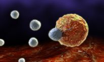 T Cells May Be Sufficient Protection Against COVID-19, New Study Suggests