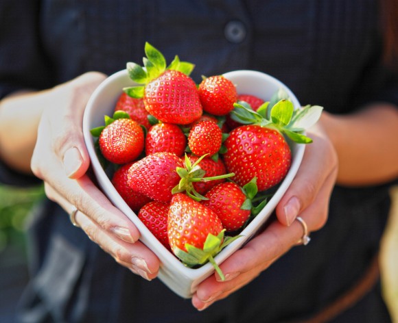 (leungchopan/shutterstock)