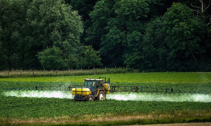 Glyphosate, Too Complex to Ignore