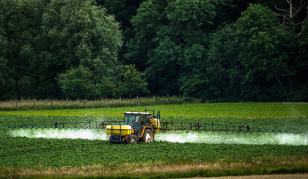 A farmer sprays pesticides on his crops in Bailleul, northern France, on June 15, 2015. French Ecology Minister Segolene Royal announced on June 14, 2015 a ban on the sale of American biotechnology giant Monsanto's popular weedkiller 'Roundup' from garden centres, which the UN has warned may be carcinogenic. The active ingredient in Roundup, glyphosate, was in March classified as "probably carcinogenic to humans" by the UN's International Agency for Research on Cancer (IARC).      (PHILIPPE HUGUEN/AFP/Getty Images)