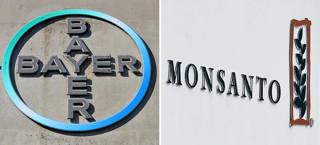 This combination of file pictures created on September 14, 2016 shows the logo of German pharmaceutical giant Bayer (L, on September 8, 2016 in Leverkusen) and the logo of Monsanto at it's Belgian manufacturing site and operations centrer on May 24, 2016 in Lillo near Antwerp.
(PATRIK STOLLARZ,JOHN THYS/AFP/Getty Images)