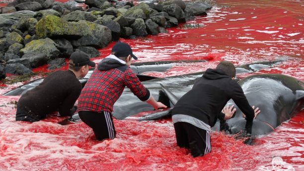 Epoch Times Photo