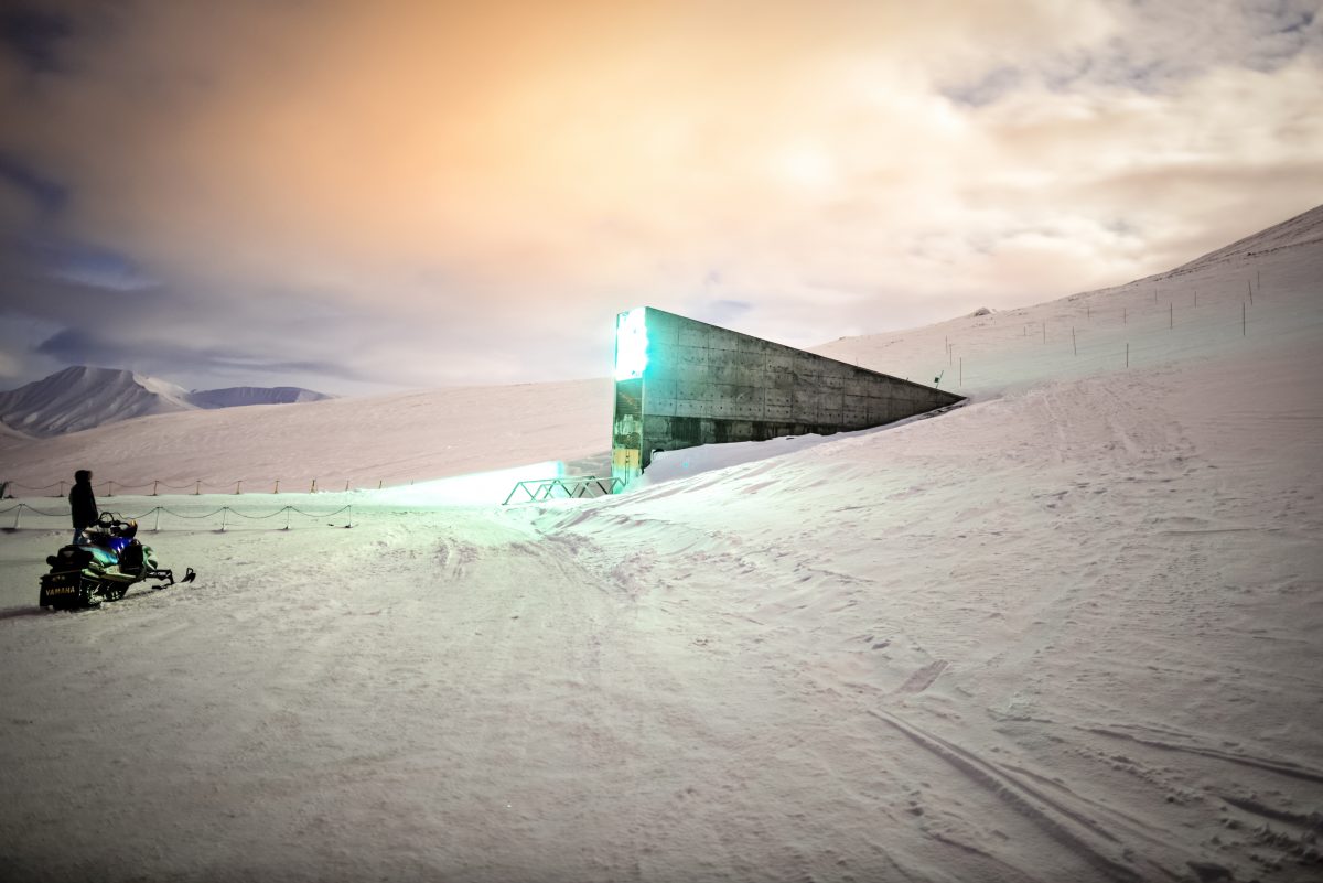 NextImg:Global Doomsday Seed Vault to Get New Batch of Seeds