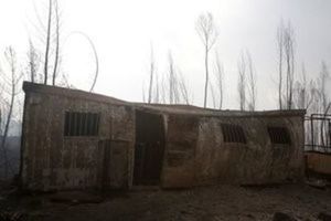 A burned out house is seen following a forest fire near Figueiro dos Vinhos, Portugal on June 19, 2017. (REUTERS/Miguel Vidal)