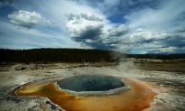 464 Earthquakes Hit Yellowstone Supervolcano in One Week