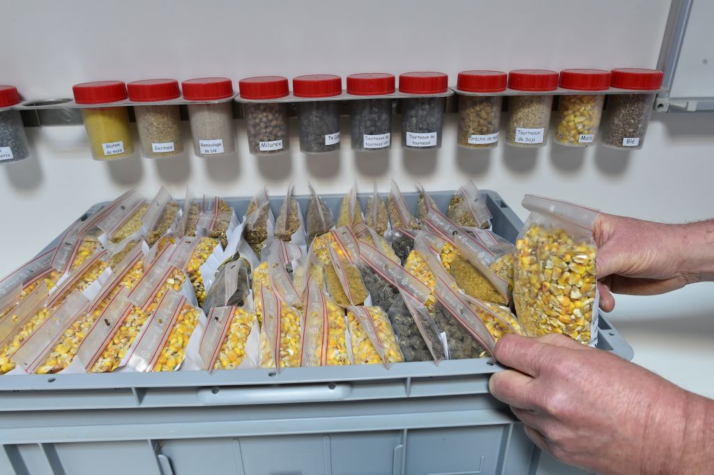 A man is at work to test samples of soybean and corn meal used to feed chickensat the Alifel factory laboratory in Loué on Feb. 3, 2017. (JEAN-FRANCOIS MONIER/AFP/Getty Images)