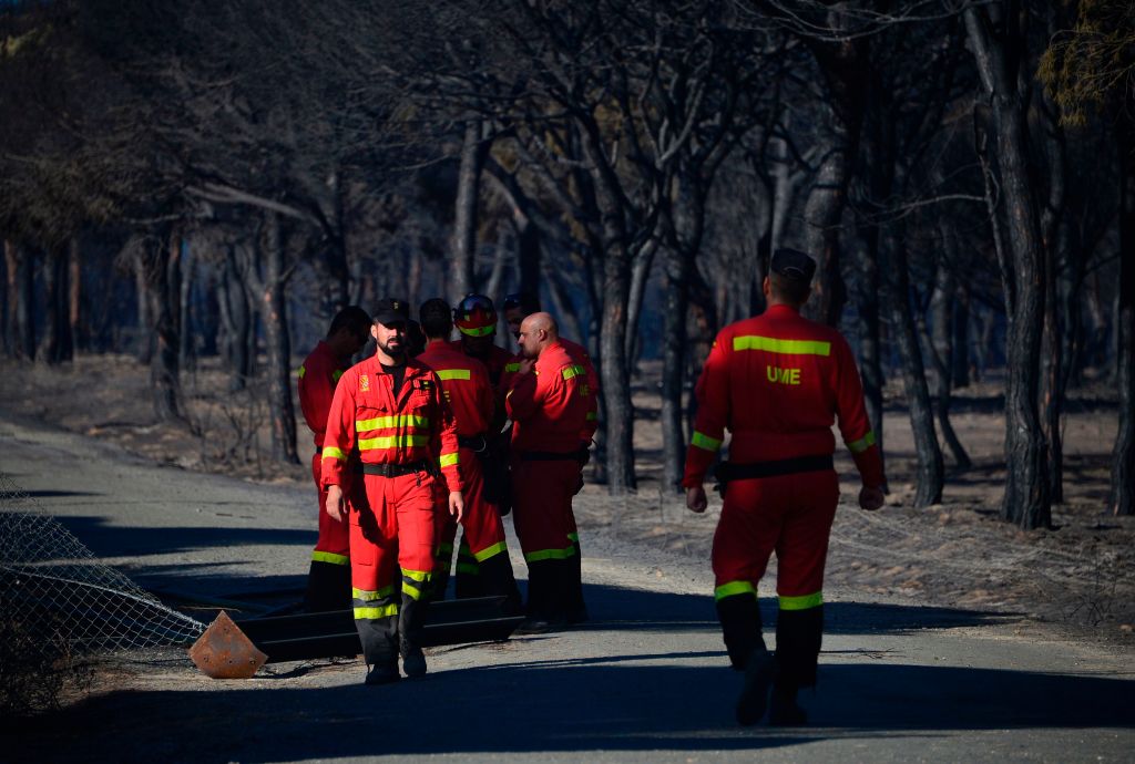 UME (Military Emergency Unit)'s members walk on a road crossing a charred forest after a wildfire in Mazagon, near the Donana National Park on July 26, 2017. (CRISTINA QUICLER/AFP/Getty Images)