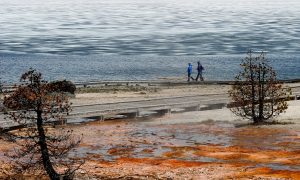 Here Is What Happened the Last Time the Yellowstone Volcano Erupted: Researchers