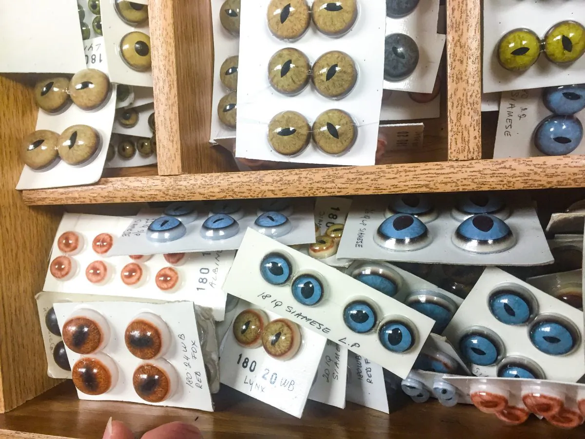 Handmade glass eyes at Tohickon Glass Eyes in Sellersville, Pa., in this file photo.