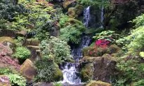Savoring the Eclectic Neighborhoods of Portland and Beyond
