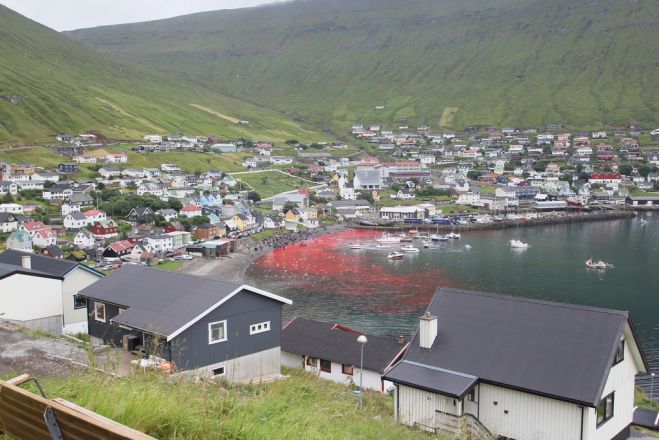 (Boycott Denmark)