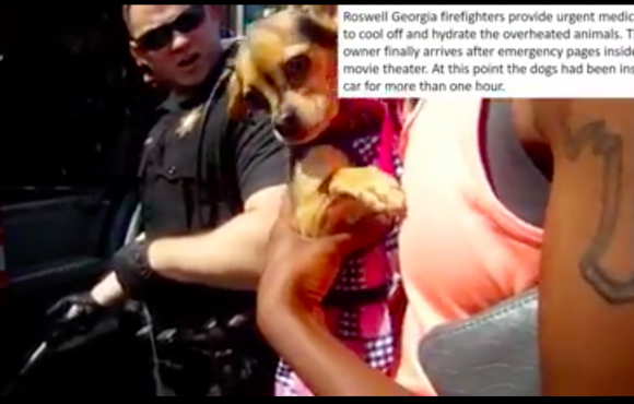 A dog rescued from a hot car in Georgia on July 2, 2017 being held by what appears to be his owner in bodycam footage released by the Roswell City Police Department. (Courtesy of Roswell City Police).