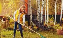 5 Ways to Teach Your Children the Value of Work