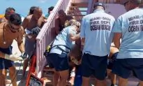 Shark Attack off South Florida Beach First in Decades