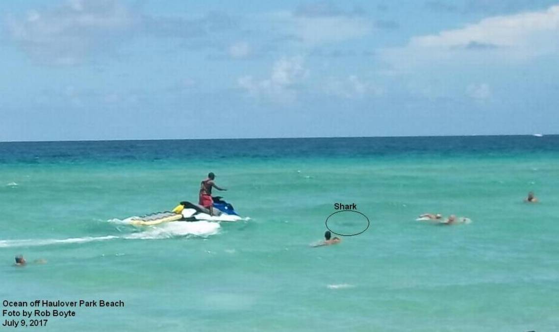 NextImg:Teenage Girl Killed in Suspected Shark Attack in Western Australia