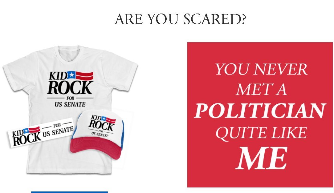 (KidRockForSenate.com)