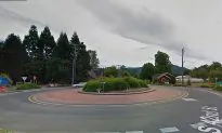 Mother Tows Children in Traffic in Plastic Wagon