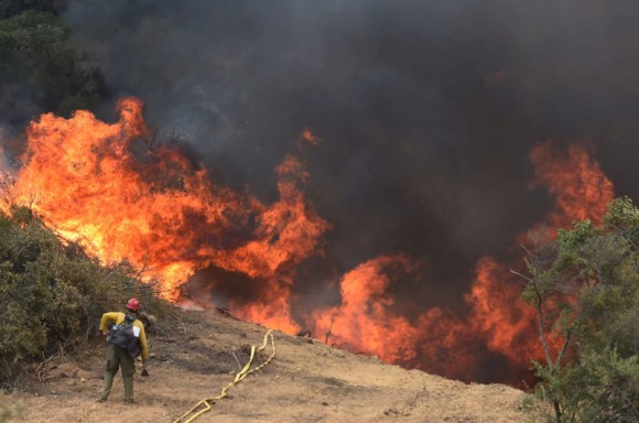 A United States Forest Service firefighter keeps a close eye on flames during a back fire operation on the Whittier fire near Bee Rock off Hwy 154 near Santa Barbara, California, July 16, 2017. (Eliason/Santa Barbara County Fire/via Reuters)