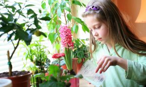 Teaching Our Children Responsibility