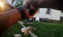 Graphic Body Cam Video Shows Police Officer Shooting Two Dogs