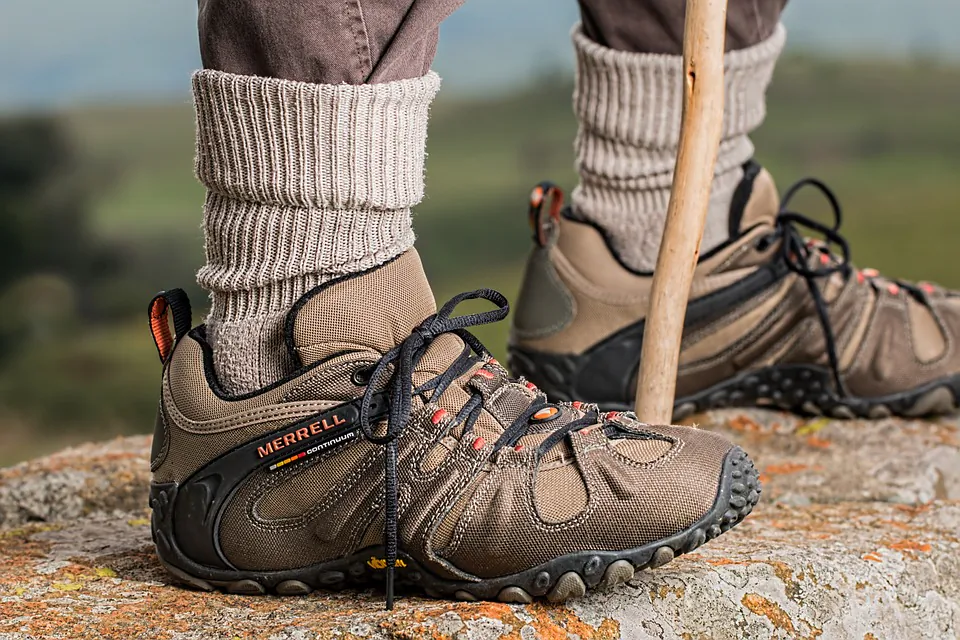 Hiking books with walking stick.