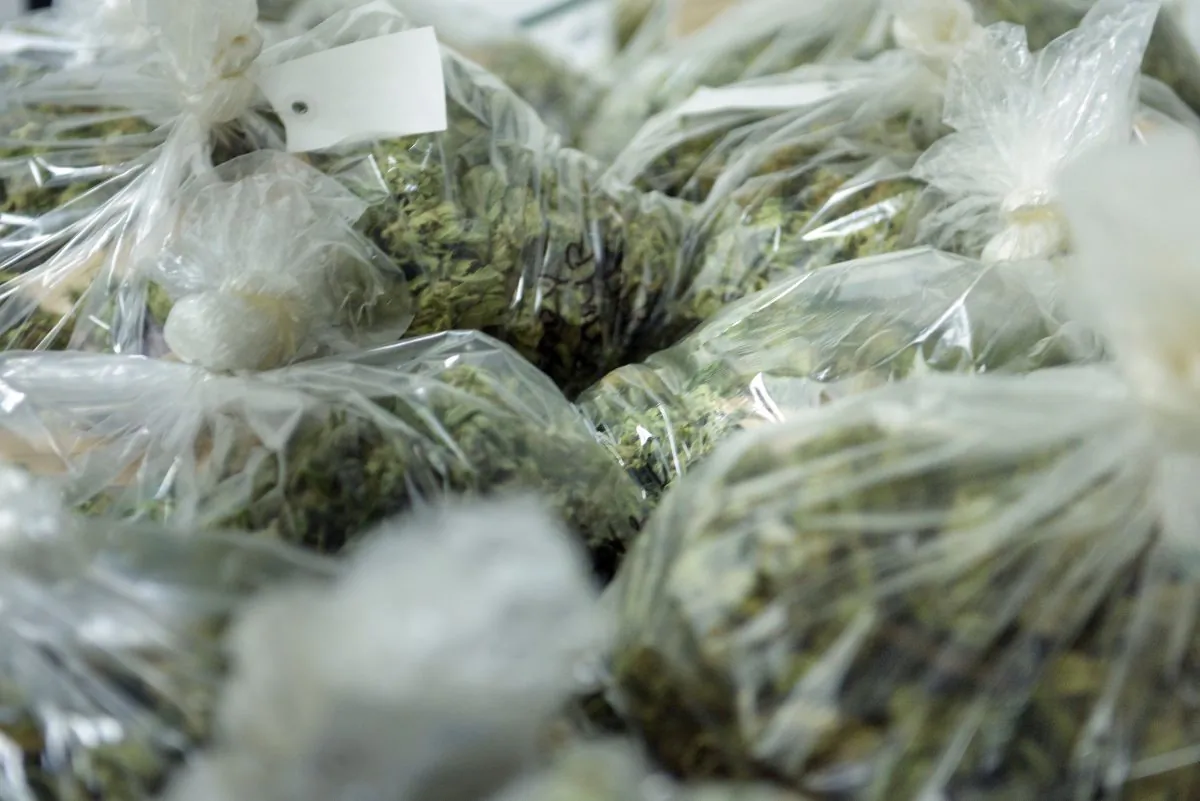 File photo of individual marijuana bags. (Brendan Smialowski/AFP/Getty Images)