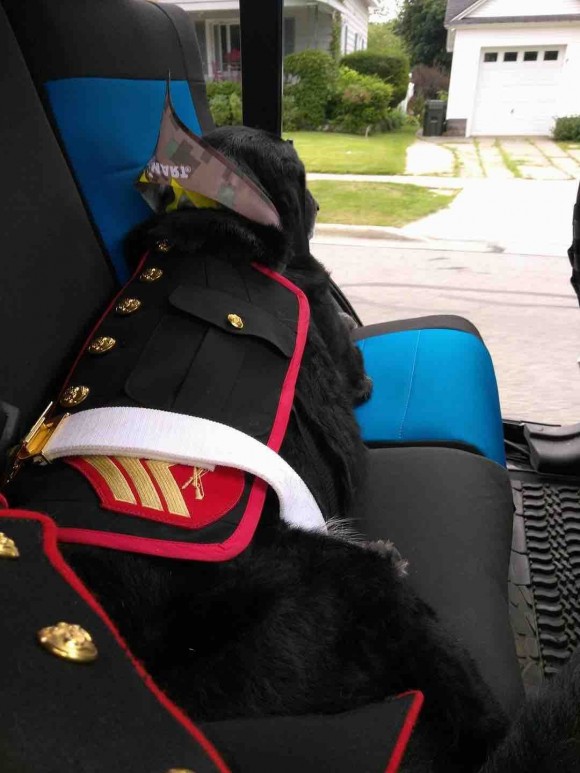 (GoFundMe https://www.gofundme.com/456drd4)
