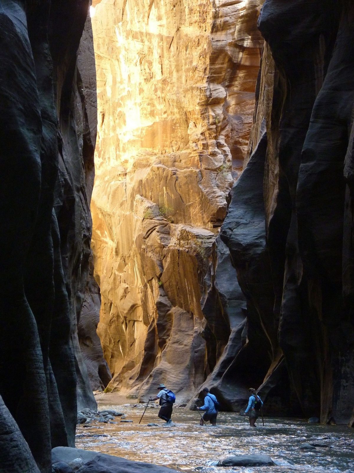 The Narrows trail in Zion National Park. (Public Domain)