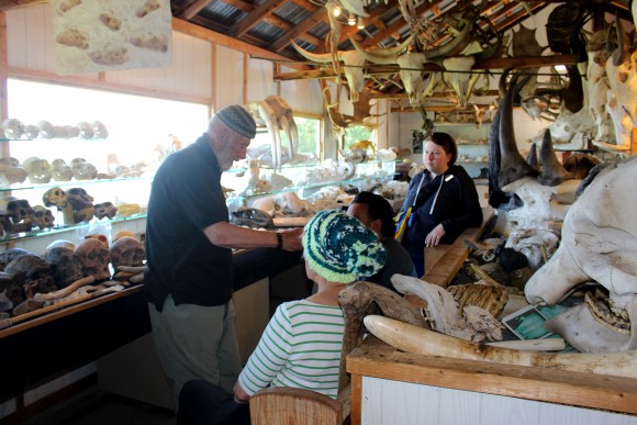 Musée du squelette on Île Verte boasts 300 animal skeletons. (Janna Graber)