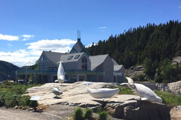 The Marine Environment Discovery Centre in Tadoussac. (Janna Graber)