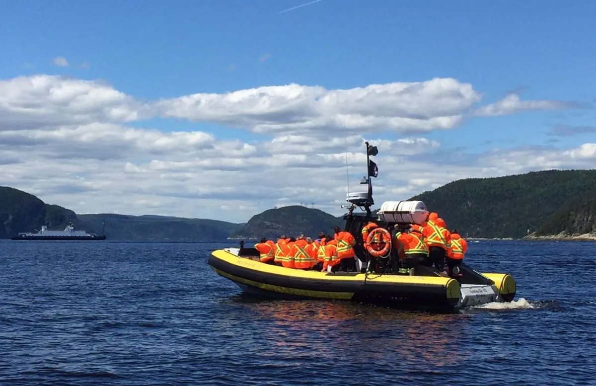 Whale watching on the St. Lawrence River. (Janna Graber)