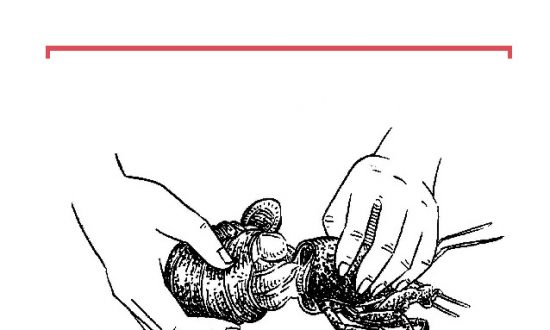 ‘How to Eat a Lobster’: A Crash Course in Gastronomy