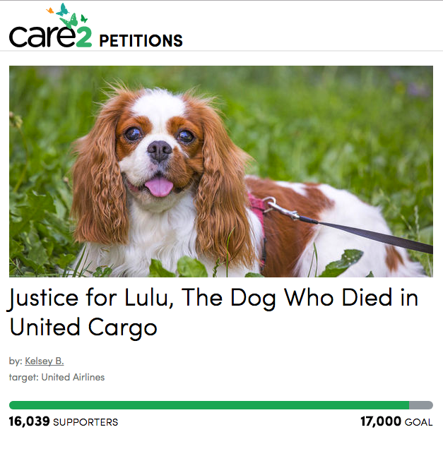 Petition calling on United Airlines to improve conditions for pets held in cargo holds during delays. (screenshot/thepetitionsite.com)
