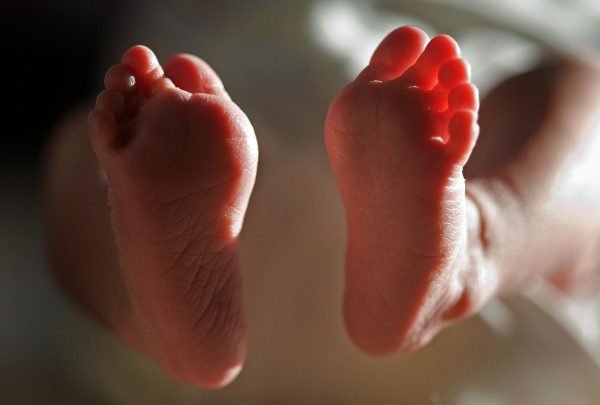 Epoch Times Photo