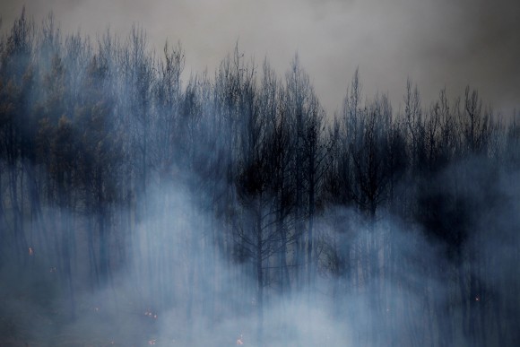 Smoke rises from burned trees during a wildfire near the village of Metochi, north of Athens, Greece, August 14, 2017. REUTERS/Alkis Konstantinidis