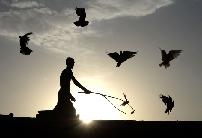 A man uses a stick to corral his flock of domesticated pigeons atop the roof of his house on the outskirts of Jalalabad, Afghanistan, on Aug. 16, 2017. (NOORULLAH SHIRZADA/AFP/Getty Images)