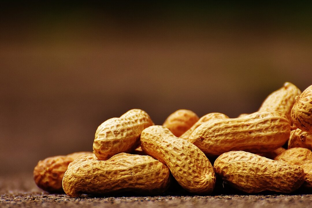 Peanuts are nutritional powerhouses that we often overlook. (Public Domain)