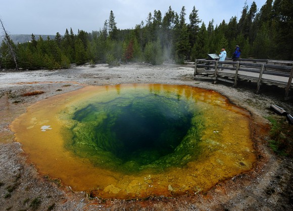 View of the 'Morning Glory' hot spring with it's unique colors caused by brown, orange and yellow algae-like bacteria that thrive in the cooling water, turning the vivid aqua-blue to a murkier greenish brown, in the Yellowstone National Park, Wyoming on June 2, 2011. (MARK RALSTON/AFP/Getty Images)