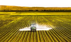 Weeding Out Vaccine Toxins: MMR, Glyphosate, and the Health of a Generation