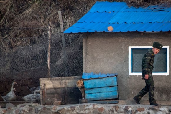 A North Korean soldier feeds a dog near Sinuiju, opposite the Chinese border city of Dandong, on April 15, 2017. (JOHANNES EISELE/AFP/Getty Images)