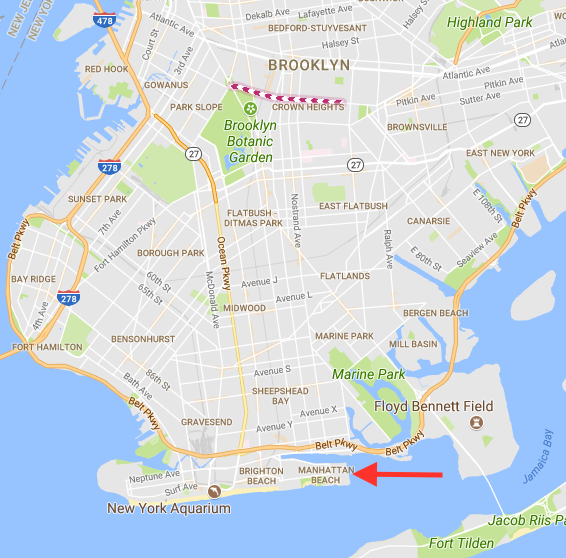 The approximate location where the body of Peter Martinez was found in Brooklyn on May 2, 2016. (Screenshot via Google Maps)